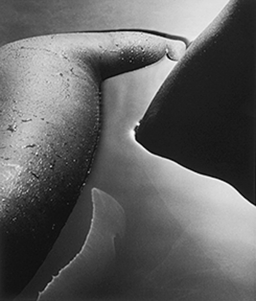 KarinRosenthal AbstractNudedalla serie Greek Nudes In Water1980